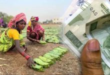 MP में तेंदूपत्ता संग्राहकों को सौगात, 8.66 लाख परिवारों को बोनस बांटने पहुंचे CM मोहन यादव