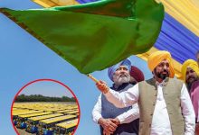 पंजाब के 9 डिपो से शुरू हुई 100 मिनी बसों की सेवा, गांवों तक बेहतर होगी कनेक्टिविटी