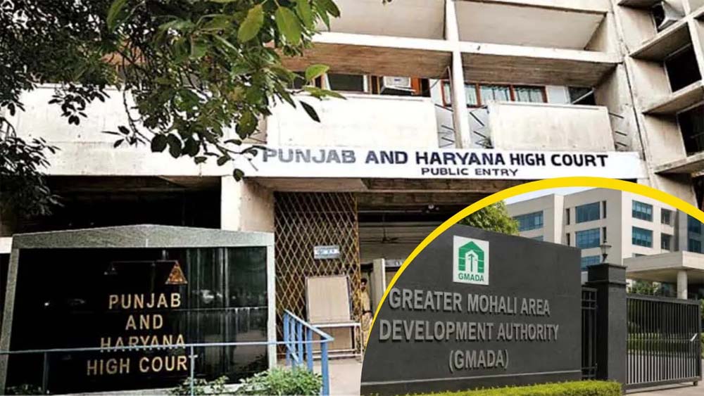 पंजाब में CBI रेड पर सरकार का हाईकोर्ट रुख, 30 बैगों में दस्तावेज ले जाने का आरोप