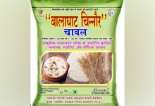 भारत मंडपम में महका बालाघाट का चिन्नौर चावल अंतर्राष्ट्रीय सम्मेलन में मिला भव्य मंच