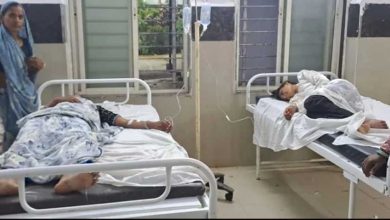 विसर्जन यात्रा में अचानक मधुमक्खियों का आतंक, भगदड़ से 25 लोग घायल; 13 को अस्पताल पहुंचाया विसर्जन यात्रा में अचानक मधुमक्खियों का आतंक, भगदड़ से 25 लोग घायल; 13 को अस्पताल पहुंचाया