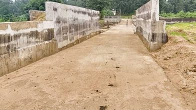 नारायणपुर के कपरी नाला में 2.97 करोड़ रुपये की लागत से स्टॉप डैम का निर्माण अंतिम चरण में