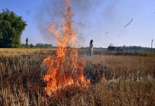 पंजाब को भी पीछे छोड़ने वाले विदिशा में फिर जली पराली, प्रशासन ने की कार्रवाई