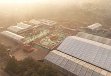 बस्तर के लालबाग में वनोपज से सजी 20,700 वर्गफीट की भव्य रंगोली ने रचा विश्व रिकॉर्ड, राष्ट्रपति द्रौपदी मुर्मु ने किया अवलोकन