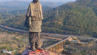 सरदार वल्लभभाई पटेल की जयंती 31 अक्टूबर को राष्ट्रीय एकता दिवस के रूप में मनाई जाएगी