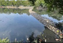 जल प्रदूषण पर NGT सख्त, एमपी समेत तीन राज्यों को देना होगा जवाब; सीवेज प्रबंधन पर मांगी रिपोर्ट