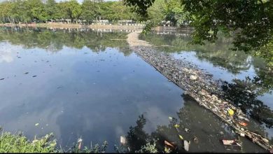 जल प्रदूषण पर NGT सख्त, एमपी समेत तीन राज्यों को देना होगा जवाब; सीवेज प्रबंधन पर मांगी रिपोर्ट