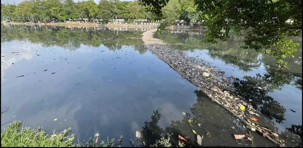 जल प्रदूषण पर NGT सख्त, एमपी समेत तीन राज्यों को देना होगा जवाब; सीवेज प्रबंधन पर मांगी रिपोर्ट जल प्रदूषण पर NGT सख्त, एमपी समेत तीन राज्यों को देना होगा जवाब; सीवेज प्रबंधन पर मांगी रिपोर्ट