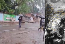 इंदिरा गांधी कृषि विश्वविद्यालय ने जारी की मौसम आधारित कृषि सलाह