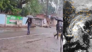 इंदिरा गांधी कृषि विश्वविद्यालय ने जारी की मौसम आधारित कृषि सलाह