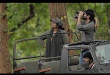 वीरांगना दुर्गावती टाइगर रिजर्व में लघु फिल्म ‘ए डे इन द लैंड ऑफ टाइगर्स’ की गई रिलीज