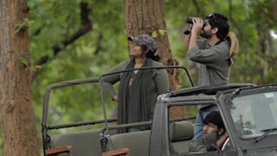 वीरांगना दुर्गावती टाइगर रिजर्व में लघु फिल्म ‘ए डे इन द लैंड ऑफ टाइगर्स’ की गई रिलीज