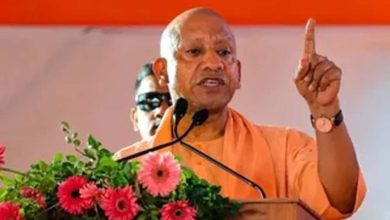 IIPA की यूपी शाखा बनी ‘बेस्ट परफॉर्मिंग ब्रांच’, मिला राष्ट्रीय सम्मान